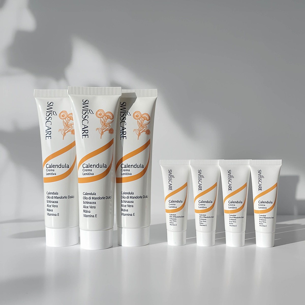 Calendula di primavera